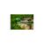 Поливочный шланг Cellfast GREEN ATS, 1/2", 50м, 5 слоев, до 30 Бар, -20…+60°C (15-101), изображение 4 Поливочный шланг Cellfast GREEN ATS, 1/2", 50м, 5 слоев, до 30 Бар, -20…+60°C (15-101), изображение 4