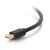 Кабель мультимедійний Mini DP to HDMI 1.8m C2G (CG84436), зображення 4 Кабель мультимедійний Mini DP to HDMI 1.8m C2G (CG84436), зображення 4