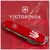 Ніж Victorinox Spartan Ukraine Red "Тризуб" (1.3603_T0010u), зображення 3