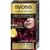 Краска для волос Syoss Oleo Intense 5-92 Насыщенный Красный 115 мл (9000101666632) Краска для волос Syoss Oleo Intense 5-92 Насыщенный Красный 115 мл (9000101666632)