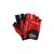 Перчатки для фитнеса Power System Pro Grip EVO PS-2250E Red L (PS_2250E_L_Red) Перчатки для фитнеса Power System Pro Grip EVO PS-2250E Red L (PS_2250E_L_Red)