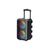 Акустическая система Havit HV-SQ116BT 10W RGB Black (HV-SQ116BT) Акустическая система Havit HV-SQ116BT 10W RGB Black (HV-SQ116BT)