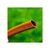 Поливочный шланг Neo Tools 3/4 "x 50 m, 4-сл. Economic (15-805), изображение 5 Поливочный шланг Neo Tools 3/4 "x 50 m, 4-сл. Economic (15-805), изображение 5