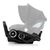 Автокресло Evenflo Shyft DualRide (от 1,4 до 16 кг) (032884203604), изображение 3 Автокресло Evenflo Shyft DualRide (от 1,4 до 16 кг) (032884203604), изображение 3