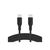 Дата кабель USB-C to USB-C 2.0m 100W black Belkin (CAB014BT2MBK) Дата кабель USB-C to USB-C 2.0m 100W black Belkin (CAB014BT2MBK)