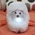 Интерактивная игрушка Curlimals серии Arctic Glow - Полярный мишка Перри (3725), изображение 5 Интерактивная игрушка Curlimals серии Arctic Glow - Полярный мишка Перри (3725), изображение 5