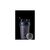 Шейкер спортивный BlenderBottle Classic Loop 20oz/590ml Black (Loop 20 Black) Шейкер спортивный BlenderBottle Classic Loop 20oz/590ml Black (Loop 20 Black)