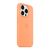 Чехол для мобильного телефона Apple iPhone 15 Pro Silicone Case with MagSafe Orange Sorbet (MT1H3ZM/A), изображение 5 Чехол для мобильного телефона Apple iPhone 15 Pro Silicone Case with MagSafe Orange Sorbet (MT1H3ZM/A), изображение 5