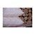 Подушка Billerbeck Е45 Bamboo 50x70 см (51932112), изображение 3 Подушка Billerbeck Е45 Bamboo 50x70 см (51932112), изображение 3