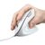Мышка Trust Verto Ergonomic USB White (25133), изображение 6 Мышка Trust Verto Ergonomic USB White (25133), изображение 6