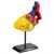 Набор для экспериментов EDU-Toys Модель сердца человека сборная, 14 см (SK009) Набор для экспериментов EDU-Toys Модель сердца человека сборная, 14 см (SK009)