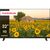 Телевизор THOMSON 32HA2S13 Телевизор THOMSON 32HA2S13