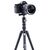 Штатив Vanguard Vesta TB 204AB (DAS301640), изображение 7 Штатив Vanguard Vesta TB 204AB (DAS301640), изображение 7