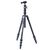 Штатив Vanguard Vesta TB 204AB (DAS301640) Штатив Vanguard Vesta TB 204AB (DAS301640)