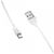 Дата кабель USB 2.0 AM to Micro 5P 1.0m BX19 Benefit 2.4A White BOROFONE (BX19MW), изображение 2 Дата кабель USB 2.0 AM to Micro 5P 1.0m BX19 Benefit 2.4A White BOROFONE (BX19MW), изображение 2