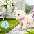 Интерактивная игрушка Baby Born любимец Мой счастливый песик (с аксессуарами) (835197), изображение 8 Интерактивная игрушка Baby Born любимец Мой счастливый песик (с аксессуарами) (835197), изображение 8