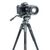Штатив Vanguard VEO 2PRO 233AV (DAS301021), изображение 7 Штатив Vanguard VEO 2PRO 233AV (DAS301021), изображение 7