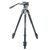 Штатив Vanguard VEO 2PRO 233AV (DAS301021) Штатив Vanguard VEO 2PRO 233AV (DAS301021)