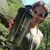 Шейкер спортивный SmartShake Original2GO One 800ml Army Green (10581002), изображение 3 Шейкер спортивный SmartShake Original2GO One 800ml Army Green (10581002), изображение 3