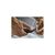 Электробритва Philips QP6541/15, изображение 6 Электробритва Philips QP6541/15, изображение 6
