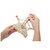 Конструктор Ugears STEM-модель 2-в-1 Арифметический набор (6337283), изображение 7 Конструктор Ugears STEM-модель 2-в-1 Арифметический набор (6337283), изображение 7