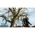 Гра Nintendo Switch The Witcher 3: Wild Hunt (1186876), зображення 3 Гра Nintendo Switch The Witcher 3: Wild Hunt (1186876), зображення 3