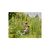 Кусторез Gardena EasyCut 680 B + секатор до 18 мм Classic (арт.8754-20) (12003-30.000.00), изображение 12 Кусторез Gardena EasyCut 680 B + секатор до 18 мм Classic (арт.8754-20) (12003-30.000.00), изображение 12