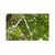 Кусторез Gardena EasyCut 680 B + секатор до 18 мм Classic (арт.8754-20) (12003-30.000.00), изображение 4 Кусторез Gardena EasyCut 680 B + секатор до 18 мм Classic (арт.8754-20) (12003-30.000.00), изображение 4