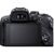 Цифровой фотоаппарат Canon EOS R10 + RF-S 18-45 IS STM + adapter EF-RF (5331C033), изображение 6 Цифровой фотоаппарат Canon EOS R10 + RF-S 18-45 IS STM + adapter EF-RF (5331C033), изображение 6