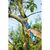 Ножовка Gardena садовая Gardena Combisystem 300 РР прямая (08737-20.000.00), изображение 9