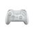 Геймпад Razer Raiju Tournament Edition PS4/PC Mercury (RZ06-02610300-R3G1) Геймпад Razer Raiju Tournament Edition PS4/PC Mercury (RZ06-02610300-R3G1)