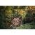 Ножовка Fiskars Xtract S SW73 (1000613), изображение 2 Ножовка Fiskars Xtract S SW73 (1000613), изображение 2