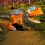 Радиоуправляемая игрушка Little Tikes Атака Тираннозавра (656767), изображение 5 Радиоуправляемая игрушка Little Tikes Атака Тираннозавра (656767), изображение 5
