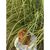 Кондиционер для волос Yope Fresh Grass 170 мл (5900168900318), изображение 3 Кондиционер для волос Yope Fresh Grass 170 мл (5900168900318), изображение 3