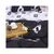 Пододеяльник MirSon Бязь Premium 17-0228 Merica 220x240 см (2200001884175), изображение 6 Пододеяльник MirSon Бязь Premium 17-0228 Merica 220x240 см (2200001884175), изображение 6