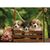 Пазл DoDo Валлийские корги, 500 элементов (300535), изображение 4 Пазл DoDo Валлийские корги, 500 элементов (300535), изображение 4
