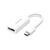 Переходник USB2.0 Type-C to HDMI V1.4b 40273 white Ugreen (40273) Переходник USB2.0 Type-C to HDMI V1.4b 40273 white Ugreen (40273)