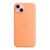 Чехол для мобильного телефона Apple iPhone 15 Plus Silicone Case with MagSafe Orange Sorbet (MT173ZM/A), изображение 2