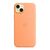 Чехол для мобильного телефона Apple iPhone 15 Plus Silicone Case with MagSafe Orange Sorbet (MT173ZM/A), изображение 3