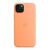 Чехол для мобильного телефона Apple iPhone 15 Plus Silicone Case with MagSafe Orange Sorbet (MT173ZM/A), изображение 5