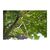 Секатор Gardena EasyCut 680 B с наковальней, 42 мм (12003-20.000.00), изображение 5 Секатор Gardena EasyCut 680 B с наковальней, 42 мм (12003-20.000.00), изображение 5