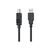Кабель для принтера USB 2.0 AM/BM 1.5m HP (DHC-PT100-1.5M) Кабель для принтера USB 2.0 AM/BM 1.5m HP (DHC-PT100-1.5M)