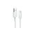 Дата кабель USB 2.0 AM to Type-C 1.8m 322 White Anker (A81H6H21) Дата кабель USB 2.0 AM to Type-C 1.8m 322 White Anker (A81H6H21)
