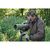 Подзорная труба Kowa TSN-99A 30-70x99/45 Prominar Kit (12264) (930605), изображение 12 Подзорная труба Kowa TSN-99A 30-70x99/45 Prominar Kit (12264) (930605), изображение 12