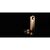 USB флеш накопитель Kingston 256GB DataTraveler SE9 G3 Gold USB 3.2 (DTSE9G3/256GB), изображение 3 USB флеш накопитель Kingston 256GB DataTraveler SE9 G3 Gold USB 3.2 (DTSE9G3/256GB), изображение 3
