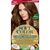 Краска для волос Wella Soft Color Безаммиачная 60 - Темный блонд (3614228865814), изображение 2 Краска для волос Wella Soft Color Безаммиачная 60 - Темный блонд (3614228865814), изображение 2