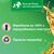 Кондиционер для белья Silan Aromatherapy Удивительные Джунгли 1100 мл (9000101800883), изображение 3 Кондиционер для белья Silan Aromatherapy Удивительные Джунгли 1100 мл (9000101800883), изображение 3