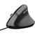 Мышка Trust Bayo II Ergonomic USB Black (25144) Мышка Trust Bayo II Ergonomic USB Black (25144)