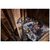 Молоток DeWALT DEM-CLAW демонтажный, цельнометаллический, 624 г, с прямым гвоздодером (DWHT51008-0), изображение 4 Молоток DeWALT DEM-CLAW демонтажный, цельнометаллический, 624 г, с прямым гвоздодером (DWHT51008-0), изображение 4