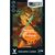 Настольная игра Geekach Games Unmatched: Красная Шапочка против Беовульфа (GKCH054RB), изображение 5 Настольная игра Geekach Games Unmatched: Красная Шапочка против Беовульфа (GKCH054RB), изображение 5